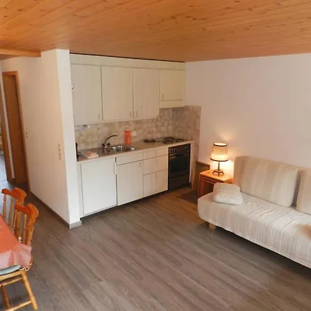 Sonnegg - Vuilleumier Appartement-fewo- Dusche Oder Bad- Wc By Interhome